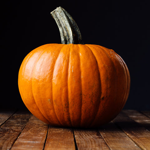 Organic Spookie Pumpkin at Sage Garden