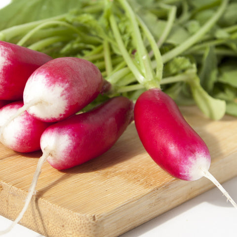 Organic French Breakfast Radish
