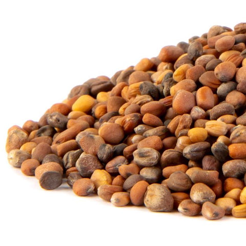 Radish, Rainbow - Sprouting/ Microgreen Seeds - Certified Organic