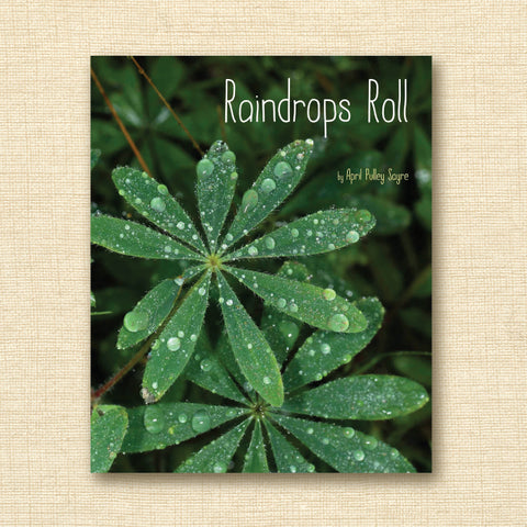 Raindrops Roll