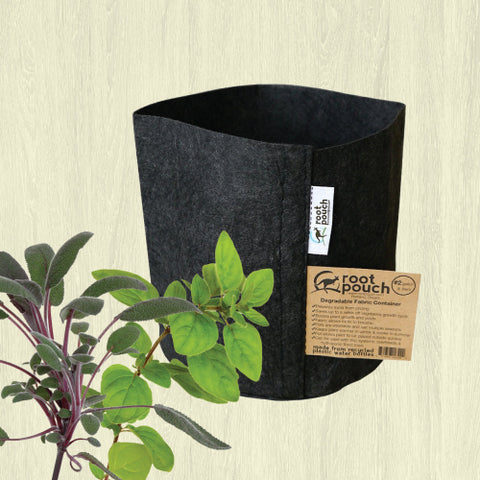 Root Pouch Geotextile Pot - Made from Recycled Bottles - Black