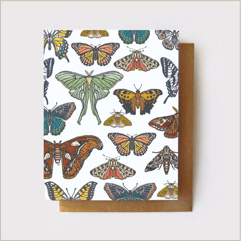Root & Branch Paper Co. - Butterfly + Moth Collection Everyday Greeting Card