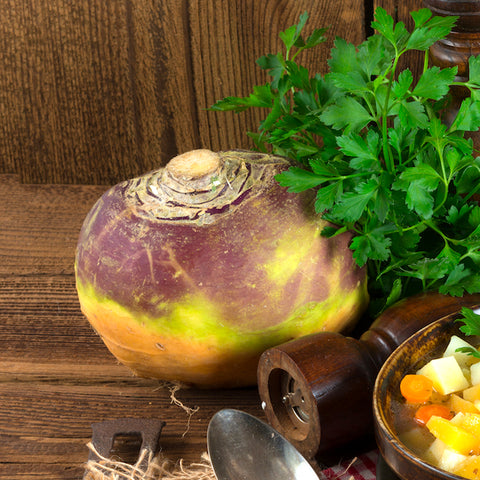 Rutabaga, Helenor (Organically Grown Seeds)