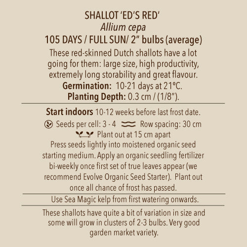 Seeds - Shallot, Ed's Red OG (SGH)