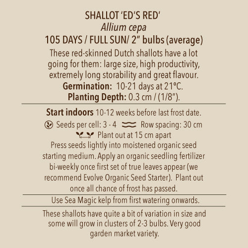 Shallot, Ed's Red (Organically Grown Seeds)