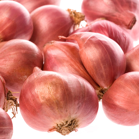 Shallot, Ed's Red (Organically Grown Seeds)