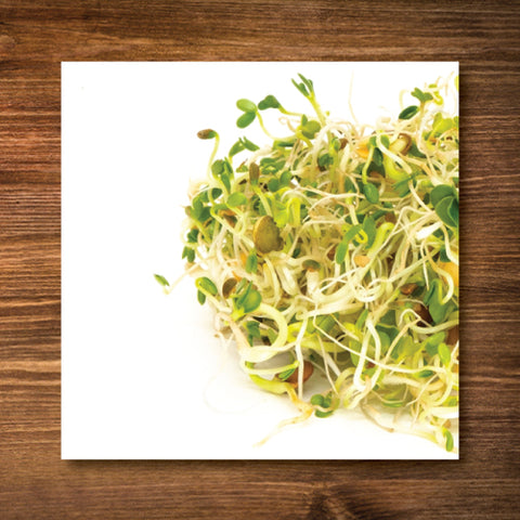 Spicy Lentil Crunch Sprouting Seeds - Certified Organic