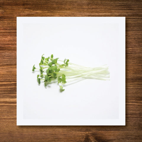 Spigarello Sprouting/Microgreen Seeds - Certified Organic