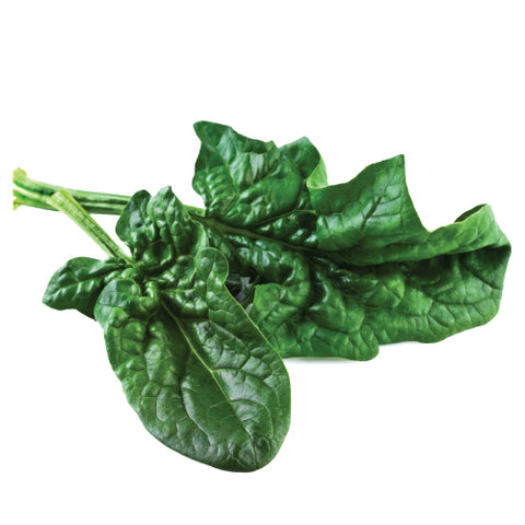 Spinach, Bloomsdale Long Standing (Organically Grown Seeds)