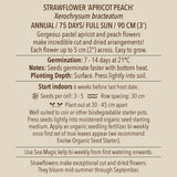 Strawflower, Apricot Peach Mix (Organically Grown Seeds)