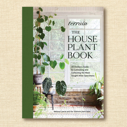 Terrain: The Houseplant Book: An Insider’s Guide to Cultivating and Collecting the Most Sought-After Specimens