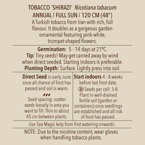 Tobacco, Shirazi (Organically Grown Seeds)