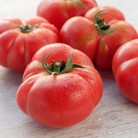 Tomato (Regular), Mortgage Lifter (Halladay's) (Organically Grown Seeds)