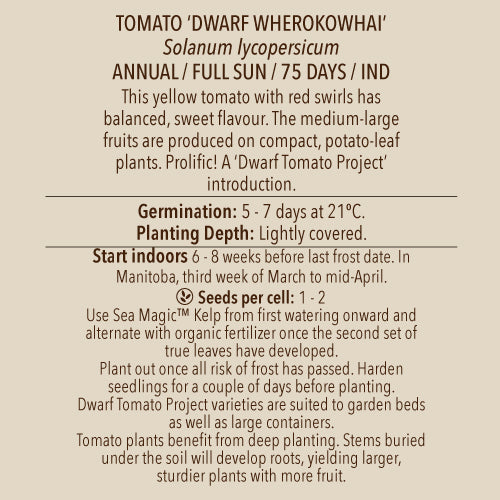Tomato (Dwarf), Dwarf Wherokowhai (Organically Grown Seeds)