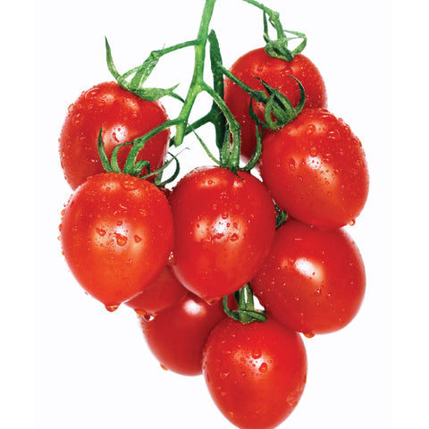 Tomato (Cherry), Gardener's Sweetheart (Organically Grown Seeds)