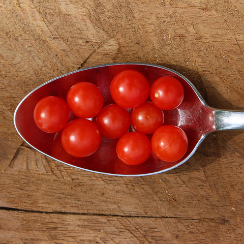 Tomato (Cherry), Sweet Pea Currant (Organically Grown Seeds)