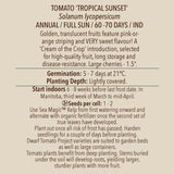 Tomato (Cherry), Cream of the Crop Tropical Sunset (Organically Grown Seeds)