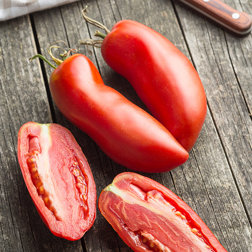 Tomato (Regular), San Marzano Paste (Certified Organic Seeds)