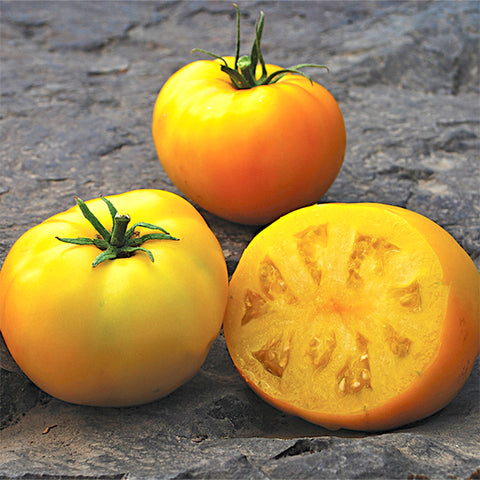 Seeds - Tomato (Dwarf), Sean's Yellow (Dwarf) OG (SGH)