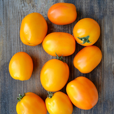 Tomato (Regular), Siberian Orange (Organically Grown Seeds)