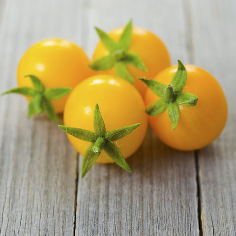 Tomato (Cherry), Sunshine Cherry (Organically Grown Seeds)