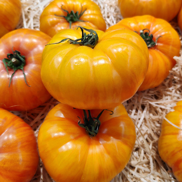 Tomato (Regular), Virginia Sweets (Certified Organic Seeds)