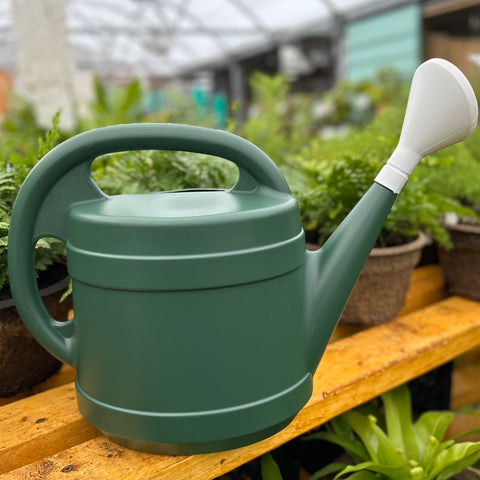 Watering Can - 2-gallon - Dark Green