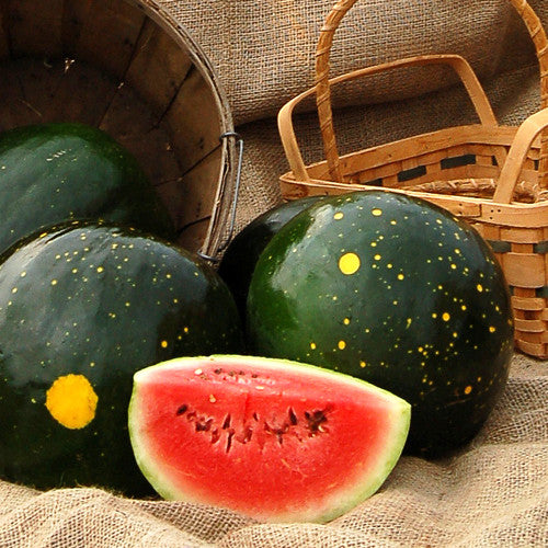 Watermelon, Moon and Stars (Certified Organic Seeds)