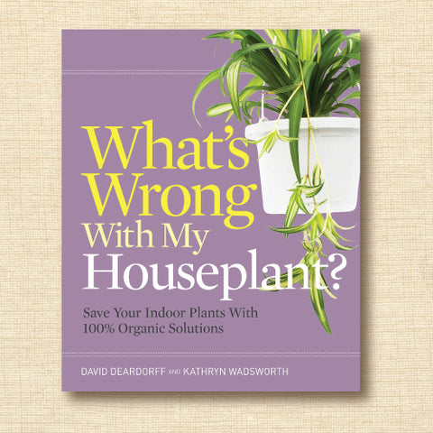 What's Wrong with My Houseplant? (And How Do I Fix It?)