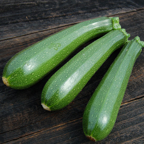 Organic Dark Green Zucchini