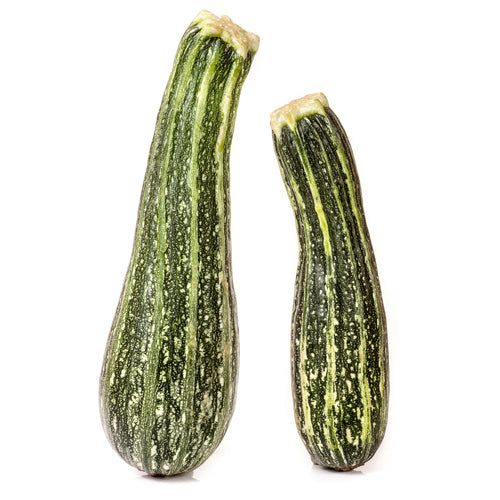 Zucchini, Cocozelle (Organically Grown Seeds)