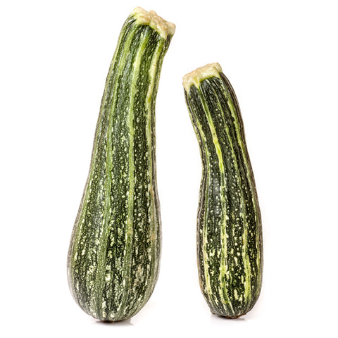 Zucchini, Cocozelle (Organically Grown Seeds)