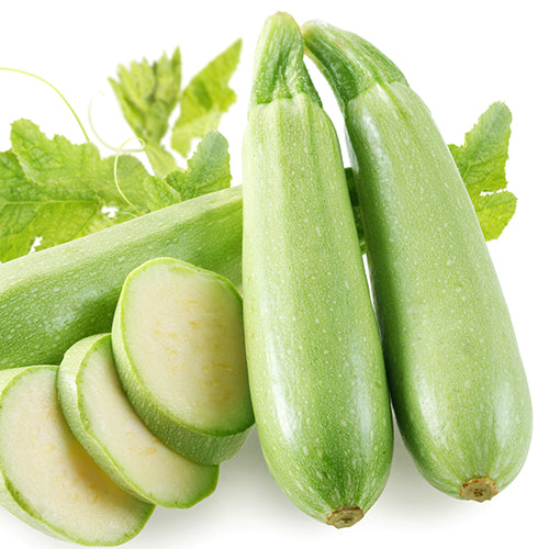 Zucchini, Genovese (Organically Grown Seeds)