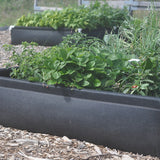 Geoplanter Raised Bed