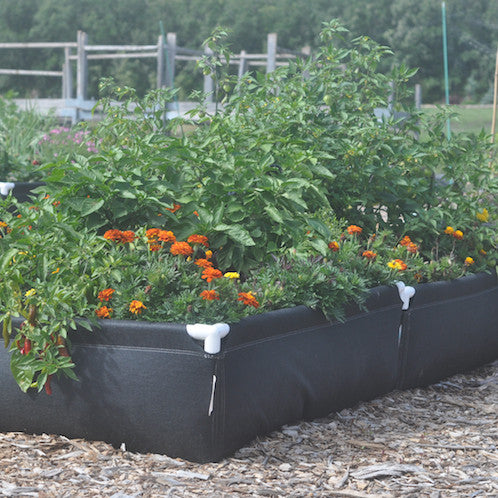 Geoplanter Raised Bed