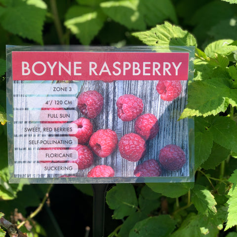 Orchard Plant Pre-Order for Spring 2026