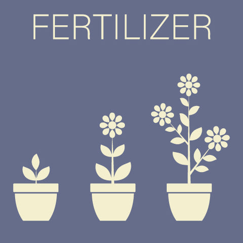 Organic Fertilizers for Indoors