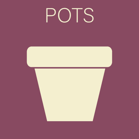 Outdoor Pots and Containers