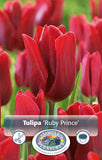 Bulbs - Tulip 'Ruby Prince' - PRE-ORDER FOR FALL 2025