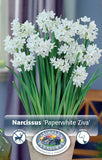Bulbs (Indoor) - Daffodil 'Paperwhite Ziva' - PRE-ORDER FOR FALL 2025