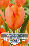 Bulbs - Tulip 'Lighting Sun' - PRE-ORDER FOR FALL 2025