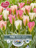 Bulbs - Tulip 'Sweet Hues' - PRE-ORDER FOR FALL 2025