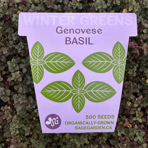 Winter Greens Seeds - Basil, Genovese