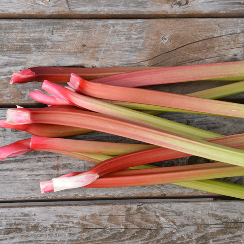 Rhubarb, Glaskin's Perpetual (Organically Grown Seeds)