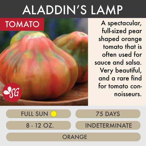 Aladdin's Lamp - Tomato Plant Pre-Order 2026