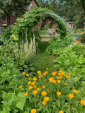 Garden Club - From the ground up: ecological gardening practices