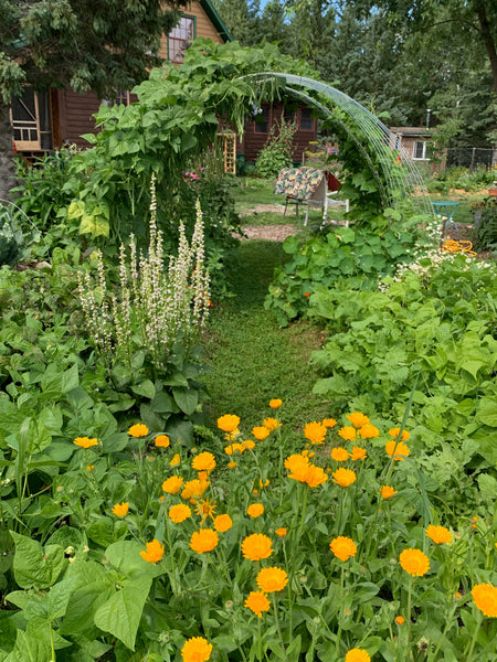 Garden Club - From the ground up: ecological gardening practices