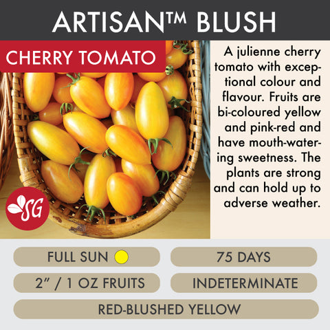Artisan Blush - Tomato Plant Pre-Order 2026