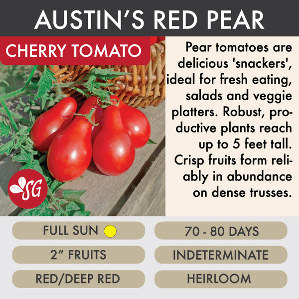 Austin's Red Pear - Tomato Plant Pre-Order 2026