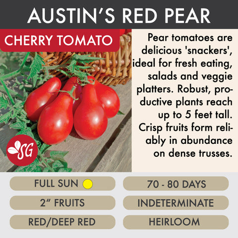 Austin's Red Pear - Tomato Plant Pre-Order 2026